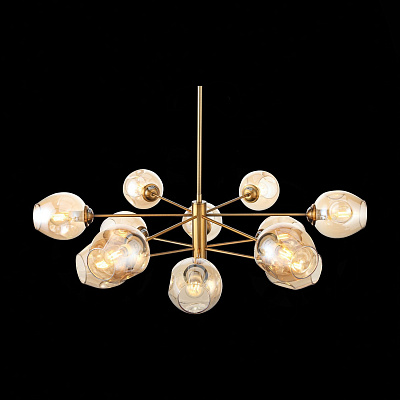 Подвесная люстра ST Luce Fovia SL1500.203.12