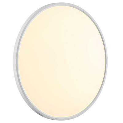 Настенно-потолочный светодиодный светильник Sonex Alfa White 7659/48L