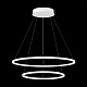 Люстра подвесная ST-Luce ST604 OUT ST604.543.56