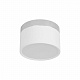 Потолочный светильник Loft It Photon 10179/12 White