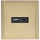 Розетка USB A+C 3,1А IEK FORTE&PIANO FP650M FP-U22-D31-M-K37 металл шампань