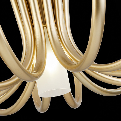 Потолочная люстра ST Luce Pafe SL1173.202.13