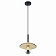 Подвесной светильник Lussole Loft LSP-8488