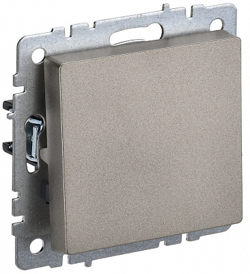 Выключатель одноклавишый самовозвратный IEK Brite ВС10-1-4-БрШ шампань BR-V14-0-10-K37