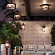 Уличный подвесной светильник Odeon Light Mavret 4961/2C