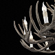 Подвесная люстра ST Luce Corna SL154.703.08
