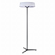 Торшер Divinare Alma 1029/06 PN-11