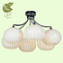 Потолочная люстра Lussole Cesano GRLSF-7203-06