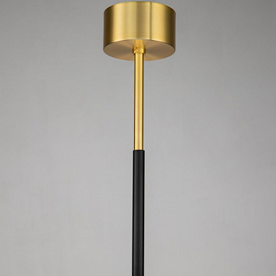 Подвесная люстра Favourite Maximo 2623-12P