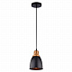 Подвесной светильник Arte Lamp Eurica A4248SP-1BK