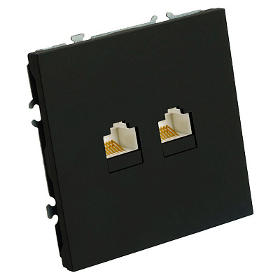 Розетка компьютерная 2-местная RJ-45 (механизм), STEKKER Эмили, RST00-5111-05, черный уголь, soft touch