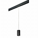 Трековый светильник Lightstar Rullo PRORP437