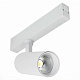Трековый светильник ST-Luce Skyline 220 ST660.546.20