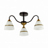 Люстра Lumion Nettie 5214/3C