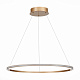 Люстра подвесная ST-Luce ST604 OUT ST604.243.34