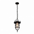 Подвесной светильник Loft IT Loft1141