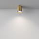 Потолочный светильник Maytoni Polar C088CL-GX53-MG