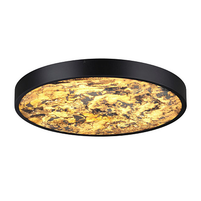 Настенно-потолочный светильник Odeon Light Bergi 5064/40L