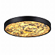 Настенно-потолочный светильник Odeon Light Bergi 5064/40L