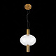 Подвесной светодиодный светильник ST Luce Allenore SL1582.303.01