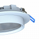 Уличный потолочный светильник Favourite Umbra 4672-1U