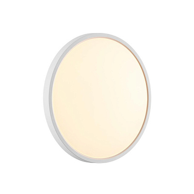 Настенно-потолочный светодиодный светильник Sonex Alfa White 7659/24L