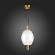 Подвесной светодиодный светильник ST Luce Allenore SL1582.313.01