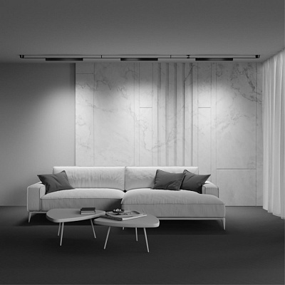 Трековый светодиодный светильник Maytoni Points TR128B-24W4K-M-B