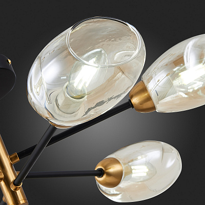 Потолочная люстра Evoluce Gloa SLE155502-06