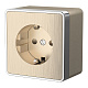 Розетка с заземлением и шторками Werkel Gallant шампань рифленый a041417