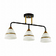Люстра Lumion Nettie 5214/3CA