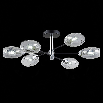 Потолочная люстра Evoluce Gloa SLE155512-06