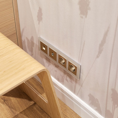 Накладка для RJ-11 Werkel шампань рифленый a051430