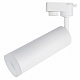 Трековый светодиодный светильник Arte Lamp Hubble A6811PL-1WH