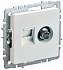 Розетка двойная TV+RJ45 IEK Brite кат.5E РТВ/РК12-БрЖ жемчуг BR-AK20-1-K36