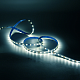 Лента Gauss Basic LED 5050/60 12V 10W/m 700lm/m 4000K 10mm IP20 1м 1/100 BT034
