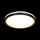 Настенно-потолочный светодиодный светильник Sonex Klapa 3045/CL