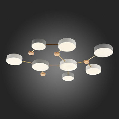 Потолочный светодиодный светильник Evoluce Dossena SLE600102-08