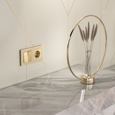 Розетка с заземлением и шторками Werkel шампань a050858