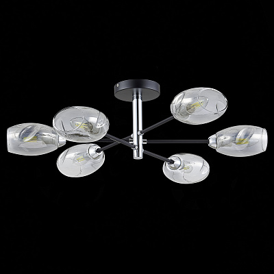 Потолочная люстра Evoluce Gloa SLE155512-06