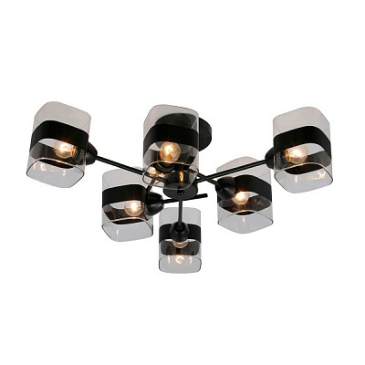 Потолочная люстра Sfera Sveta 07175/6 BLACK