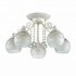 Потолочная люстра Lumion Tinetta 3256/5C
