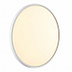 Настенно-потолочный светодиодный светильник Sonex Alfa White 7659/40L