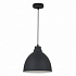 Подвесной светильник Arte Lamp Casato A2055SP-1BK