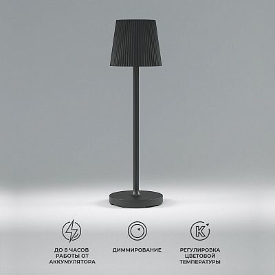 Настольная лампа Elektrostandard Mist TL70220 a063970