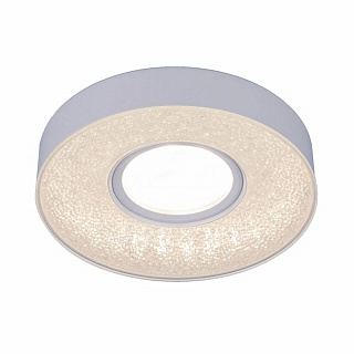 Встраиваемый светильник Elektrostandard 2241 MR16 WH белый 4690389142468