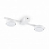 Потолочный светильник Freya Tactic FR5363CL-02W