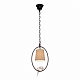 Подвесной светильник Loft IT Loft1029A-1
