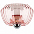 Потолочная люстра Lightstar Celesta 809002
