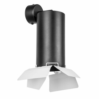 Бра Lightstar Rullo RB6487486